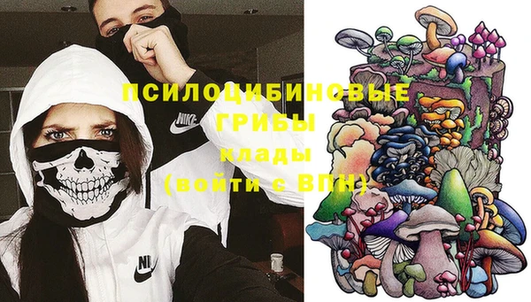 не бодяженный Алзамай