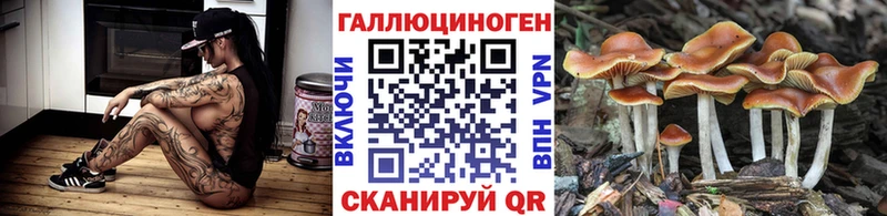 Галлюциногенные грибы Psilocybe  даркнет сайт  Усть-Кут 