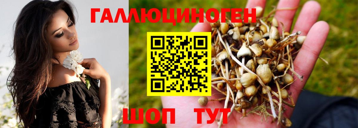 Усть-Кут  купить закладку  Вход с VPN  Псилоцибиновые грибы прущие грибы  Псилоцибиновые грибы прущие грибы 